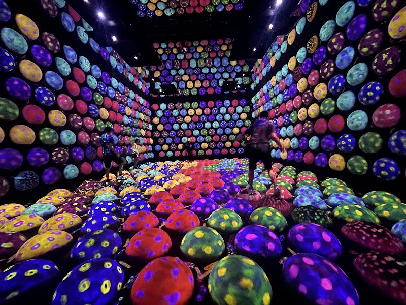 teamLab Planets TOKYO DMM - teamLab Planets TOKYO DMM 6-chōme-1-16 Toyosu, Koto City, Tokyo 135-0061, Japan