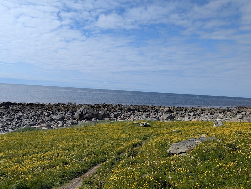 Borga Eggum - Borga Eggum, Eggumsveien 850, 8360 Bøstad, Norway