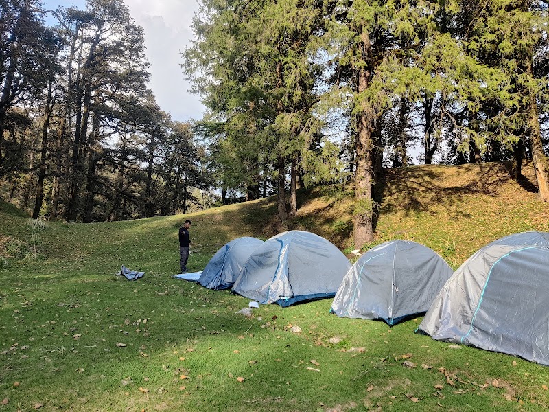 Deoban Forest Rest House - Deoban Forest Rest House, PVX8+6G7, Jadi, Uttarakhand 248123, India