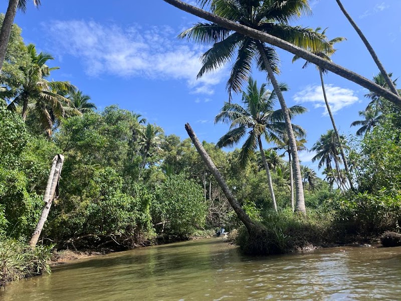 Pulari Backwater - Poovar Boating - Pulari Backwater - Poovar Boating Bund Rd, Poovar, Kerala 695525, India