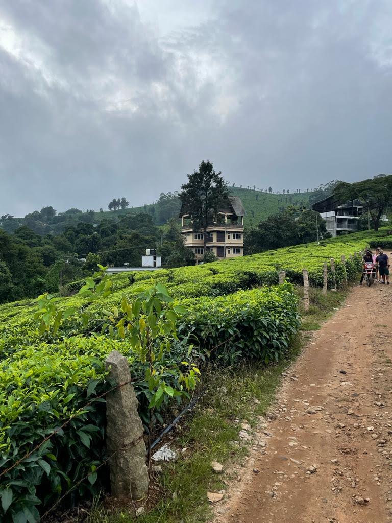 Gruenberg Tea Plantation Haus - Gruenberg Tea Plantation Haus Power house Road, Dobipalam, Chithirapuram, Kerala 685565, India