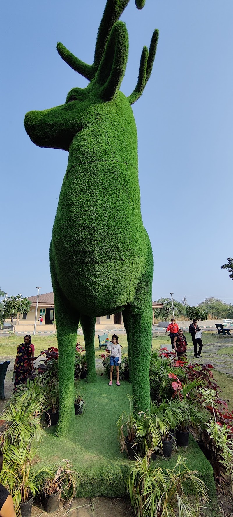 Gir Interpretation Zone (Devaliya Park) - Gir Interpretation Zone (Devaliya Park), Safari Rd, Sandhbeda, Gujarat 362260, India