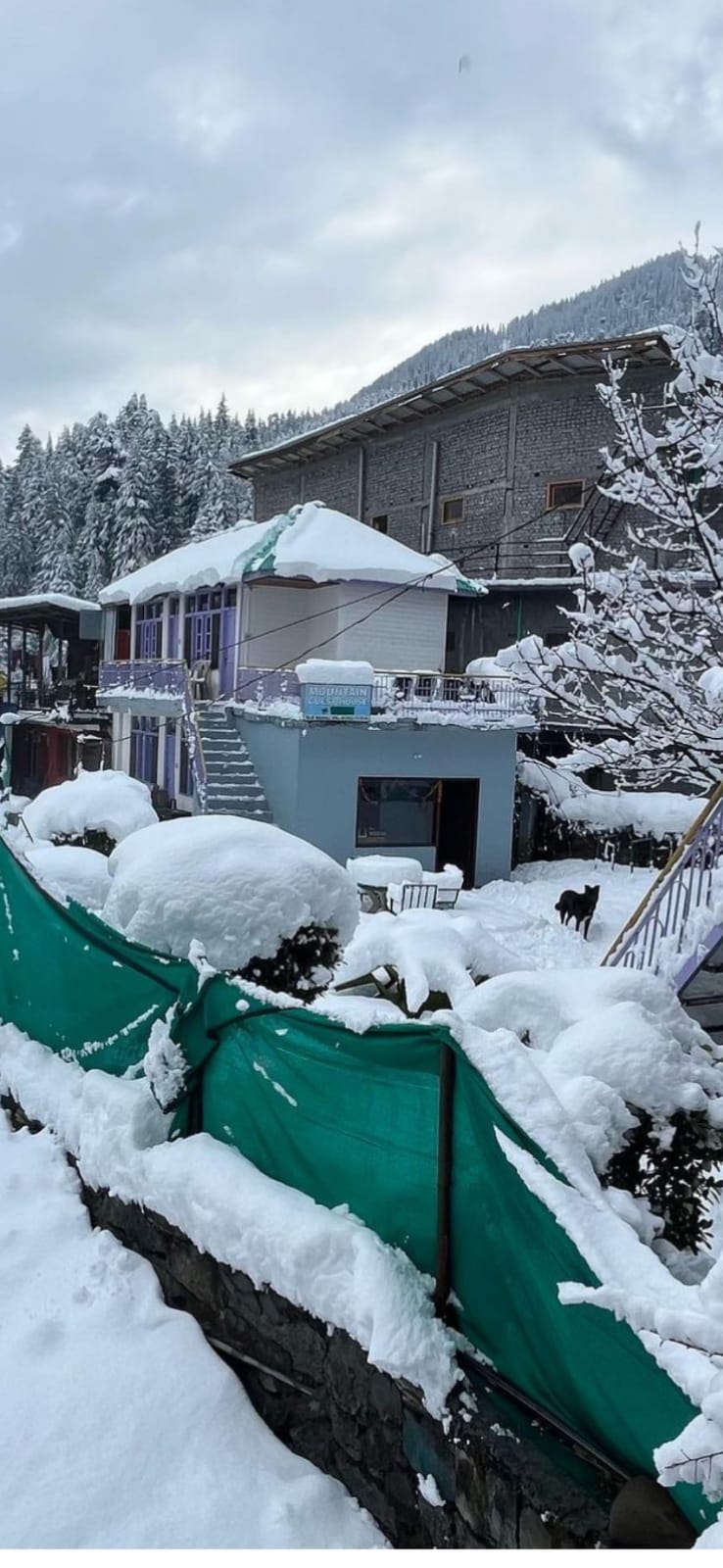 Mountain Guest House - Mountain Guest House Mountain Guest House, VPO, Old Manali, Manali, Himachal Pradesh 175131, India