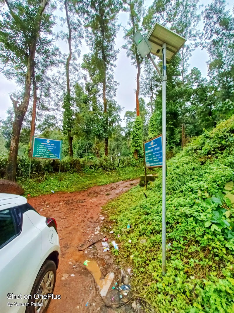Chelavara Water falls trekking start point (ಚೆಲಾವರ ಜಲಪಾತ ವೀಕ್ಷಣಾ ಸ್ಥಳ) - Chelavara Water falls trekking start point (ಚೆಲಾವರ ಜಲಪಾತ ವೀಕ್ಷಣಾ ಸ್ಥಳ) 6M4F+V9C water Falls, Chelavara, Karnataka 571212, India