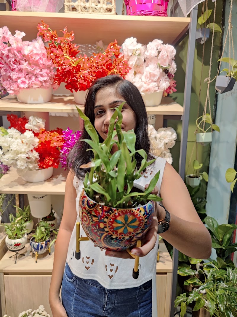 FNP- Flowers, Cakes And Gift Hampers - FNP- Flowers, Cakes And Gift Hampers, Shop No B3, Ground Floor, Super Market, Agrasen Chowk, opposite IDBI Bank, Ambedkar Nagar, Bilaspur, Telipara, Chhattisgarh 495001, India
