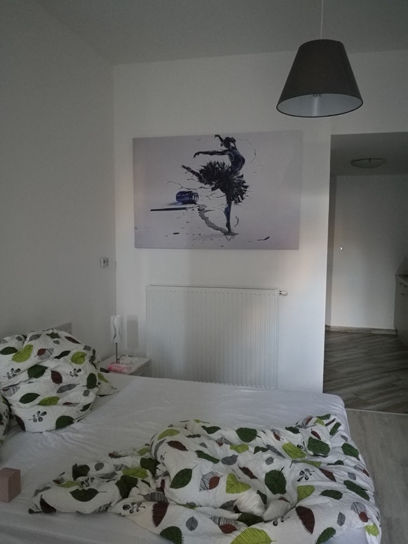 Central Studio & Apartment Budapest 2 - Central Studio & Apartment Budapest 2, Budapest, Régi posta utca 11, 1052 Hungary