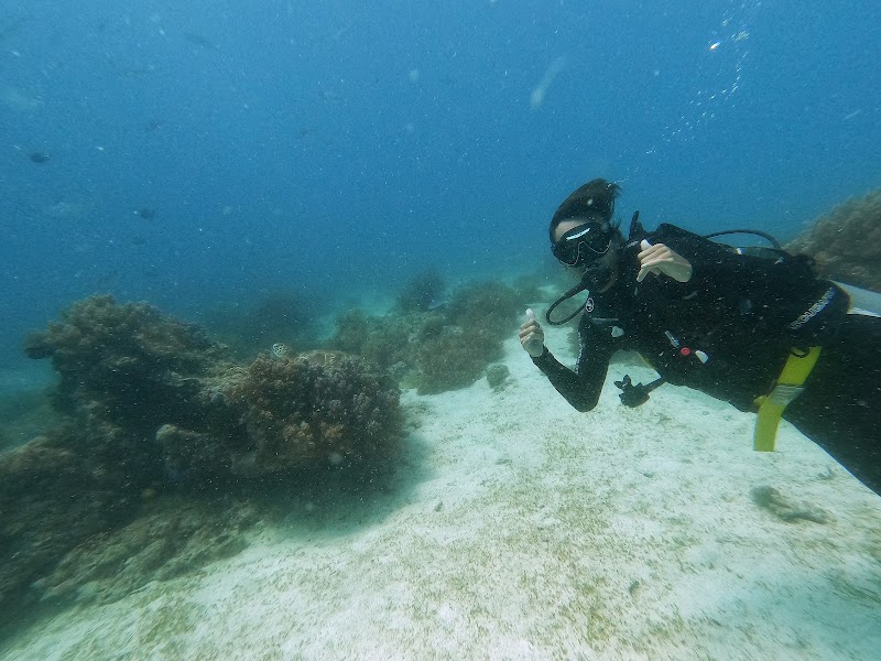 French Touch Diving - French Touch Diving, Panglao island, Purok 6, circumferential rd, Panglao, Bohol, Philippines