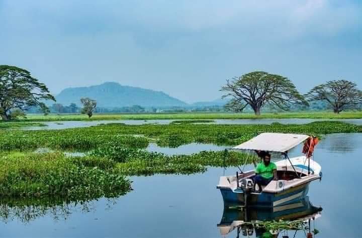 Tissamaharama - Tissamaharama Tissamaharama, Sri Lanka