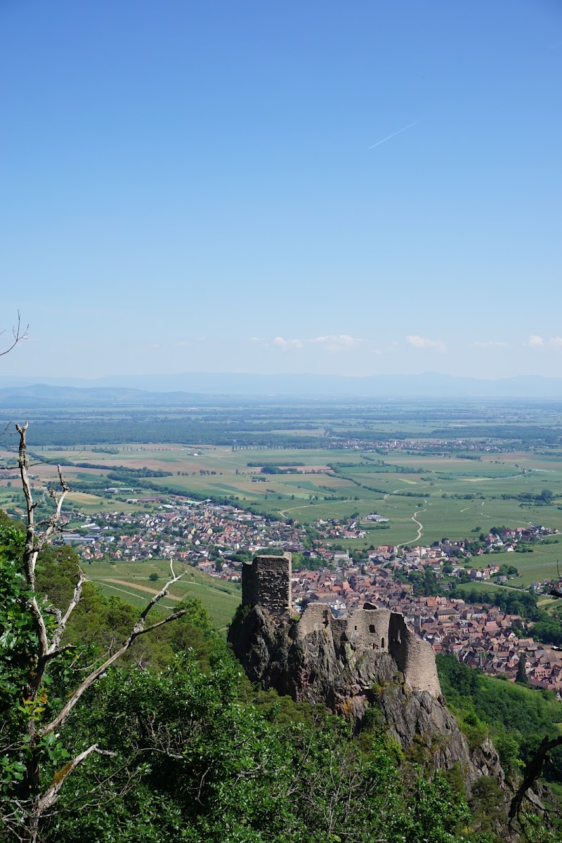 Château du Giersberg - Château du Giersberg, 68150 Ribeauvillé, France