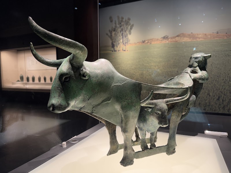 Yunnan Museum - Yunnan Museum, 6393 Guang Fu Lu, Guan Du Qu, Kun Ming Shi, Yun Nan Sheng, China, 650200