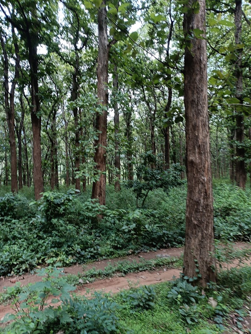 Siruvani Bottom - Siruvani Bottom, WPW6+QFJ, Karunya Road, Booluvampatti, Tamil Nadu 641114, India