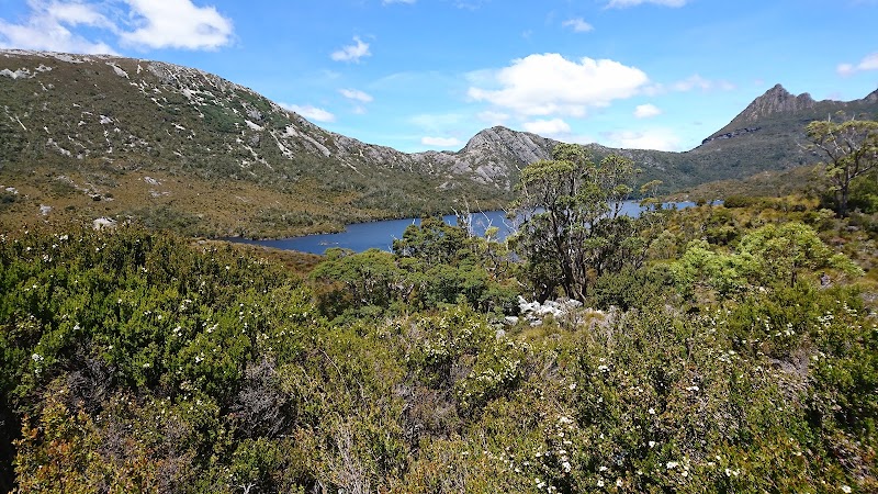 Cradle Mountain-Lake St. Clair National Park - Cradle Mountain-Lake St. Clair National Park, Tasmania, Australia