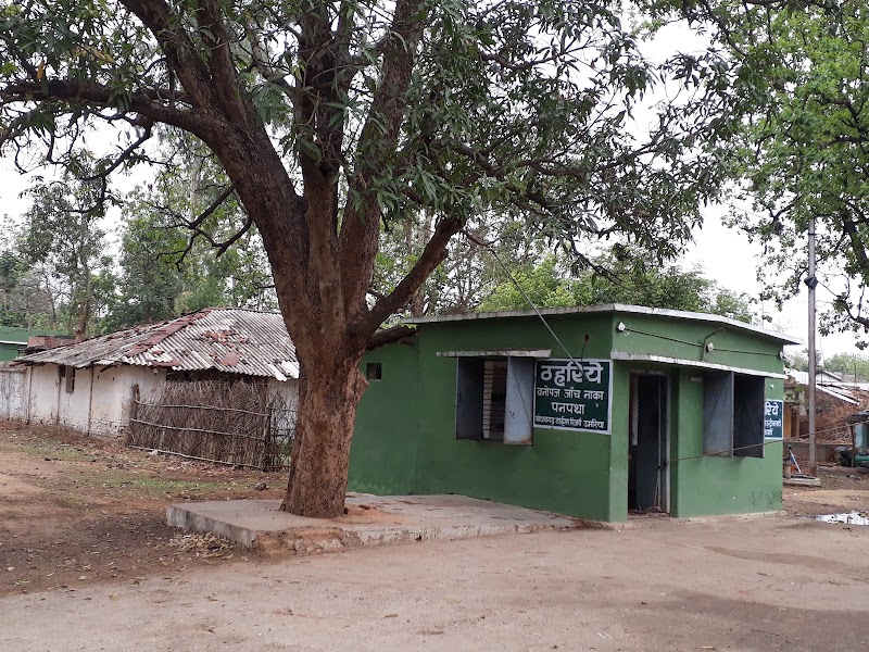 Panpatha Wildlife Sanctuary - Panpatha Wildlife Sanctuary, V245+RMG, SH10, Panpatha, Madhya Pradesh 484661, India