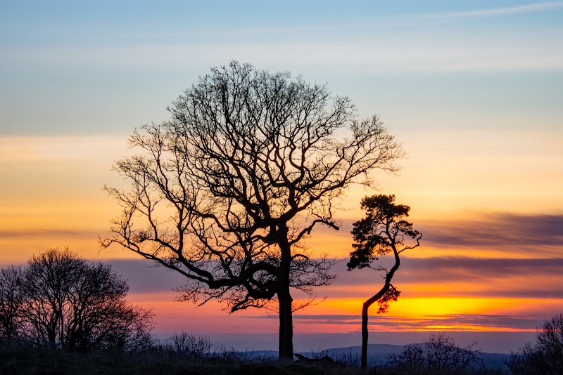 Cadbury Hill - Cadbury Hill, Congresbury, Bristol BS49 5AH, UK