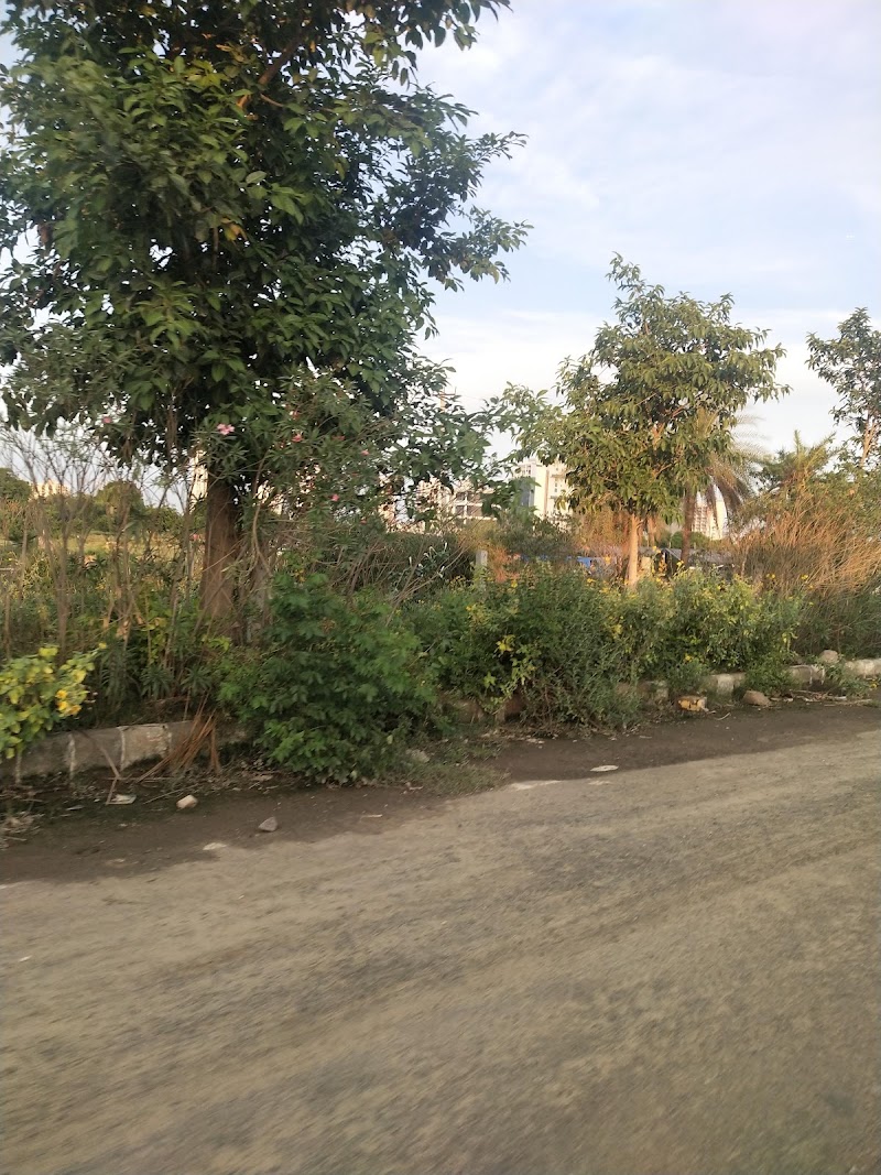Sector 65 - Sector 65, Gurugram, Haryana, India