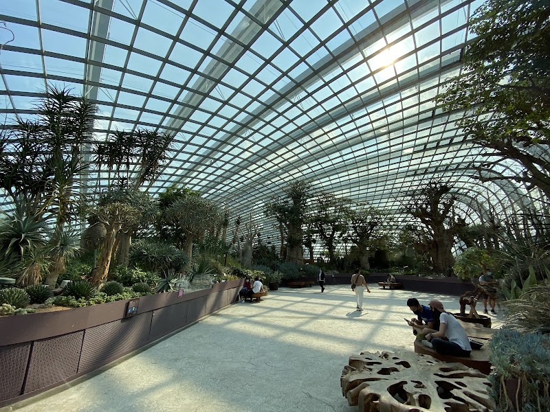 Flower Dome - Flower Dome 18 Marina Gardens Dr, Singapore 018953