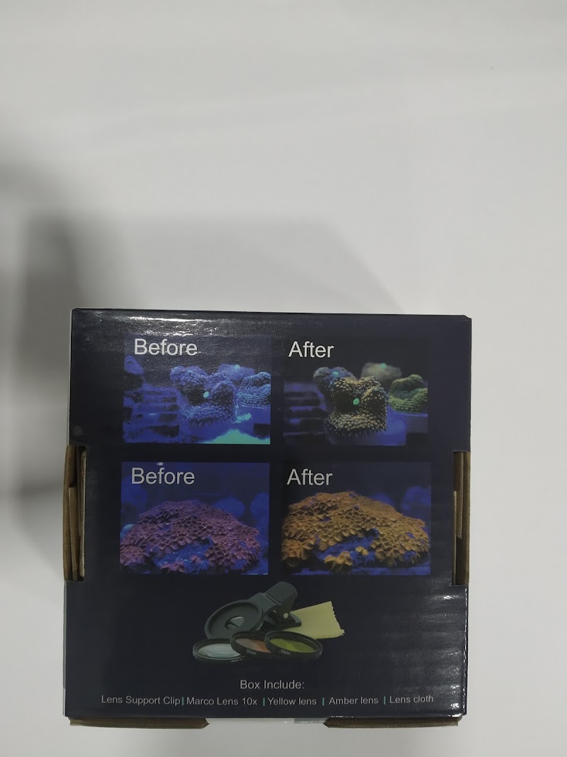 Sea Pearls Aquariums - Sea Pearls Aquariums, Shop No. 07, F-1 Type, Sector 5, Sagar Vihar Marg, behind Ramdev Resturant, Bhodakdeo, Sector 5, Vashi, Navi Mumbai, Maharashtra 400703, India