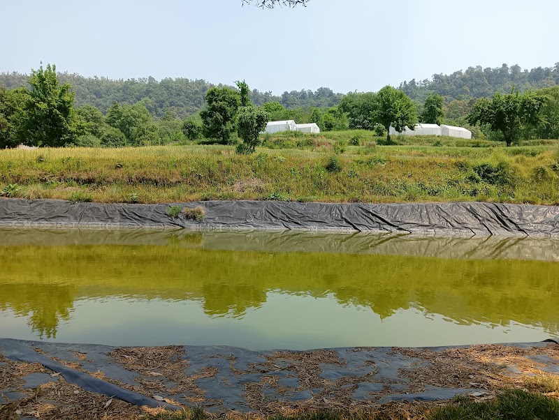 Lohaghat - Lohaghat, Uttarakhand 262524, India