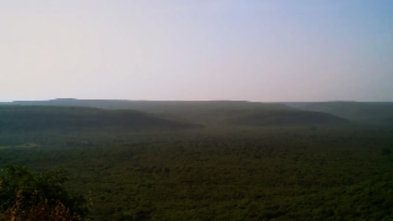 Mukundara Hills Tiger Reserve - Mukundara Hills Tiger Reserve Q2W5+HCR, Kota, Rajasthan 325602, India