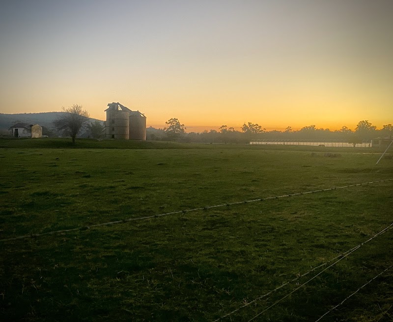 Yarra Ranges Shire - Yarra Ranges Shire, Yarra Ranges, VIC, Australia