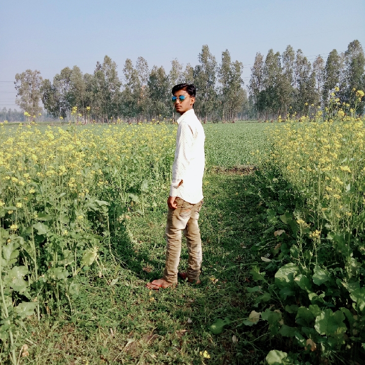 Ramnagar Kashipur - Ramnagar Kashipur, Uttarakhand 244713, India