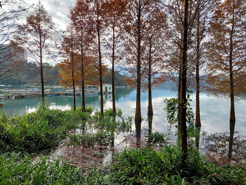 Sun Moon Lake Circular Walk - Sun Moon Lake Circular Walk Yuchi Township, Nantou County, Taiwan 555