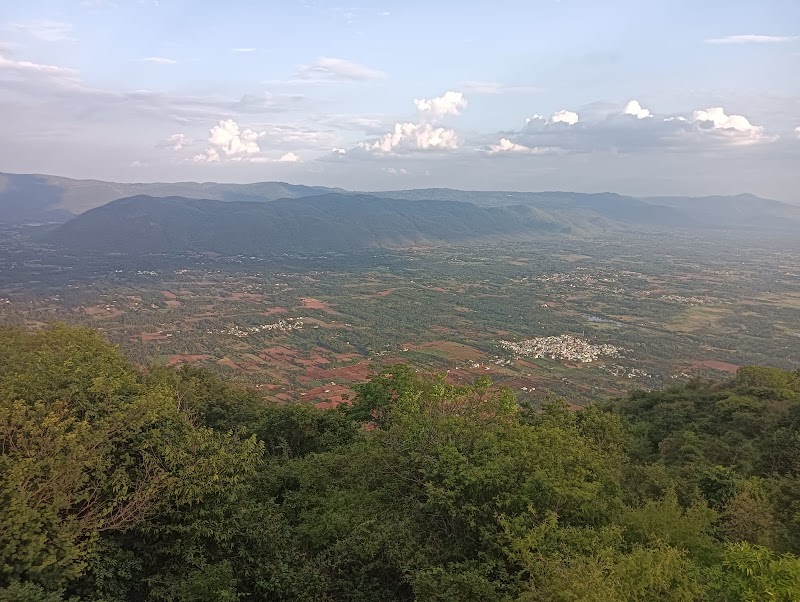 Yelagiri hills