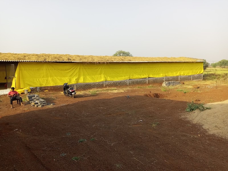 Hussain poultry farm - Hussain poultry farm, Anjora dha, Nagpura, Anjora, Chhattisgarh 491001, India