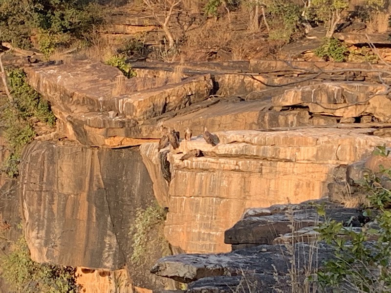 Panna National Park - Panna National Park, Madhya Pradesh, India