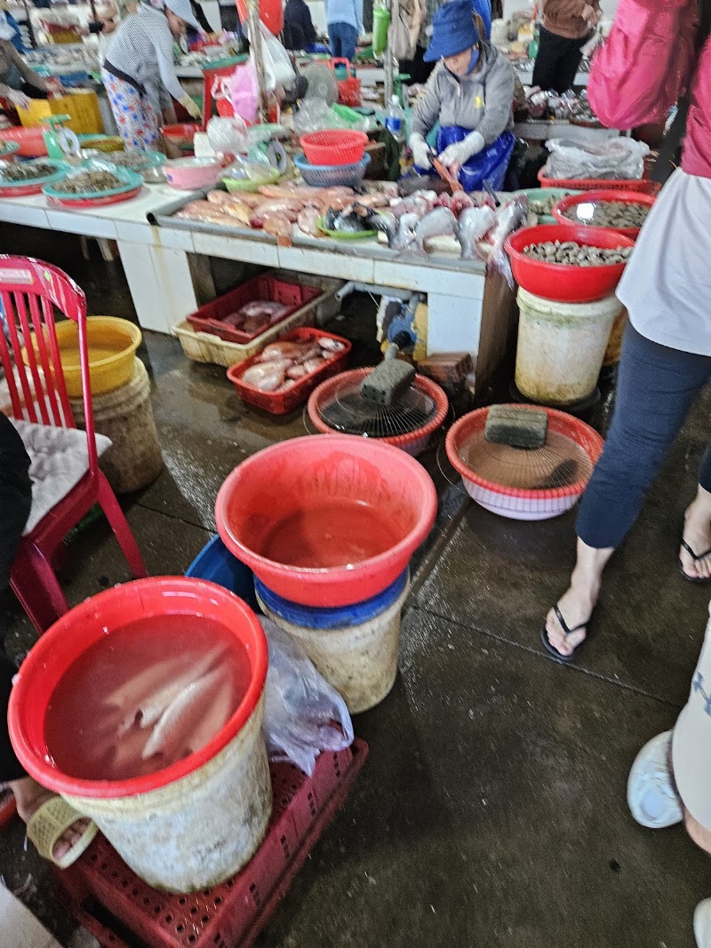 Cam Thanh Family Tours - Cam Thanh Family Tours, Thôn Thanh, Hội An Đông, Đà Nẵng, Vietnam
