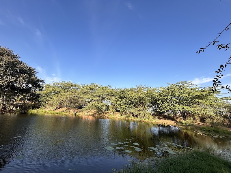 Aravalli Hills - Aravalli Hills 9X6V+GC, Gurugram, Haryana 122101, India