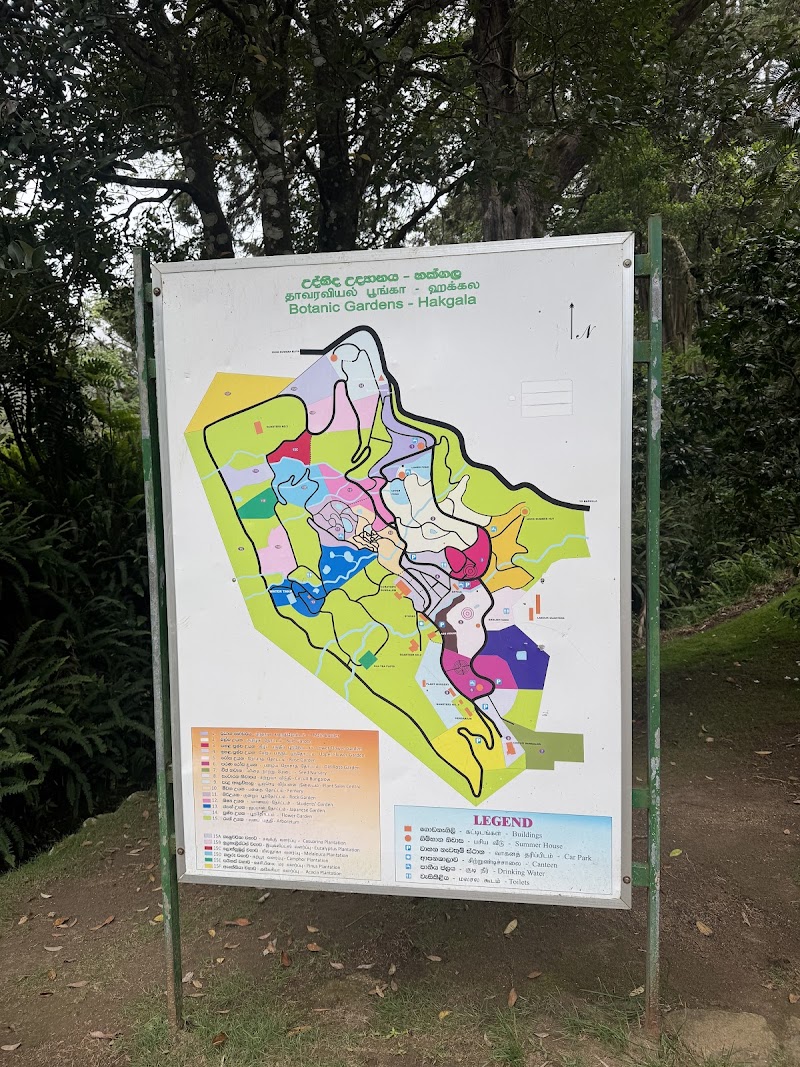 Hakgala Botanical Garden - Hakgala Botanical Garden, WRGC+JJJ, Peradeniya-Badulla-Chenkaladi Hwy, Hakgala, Sri Lanka