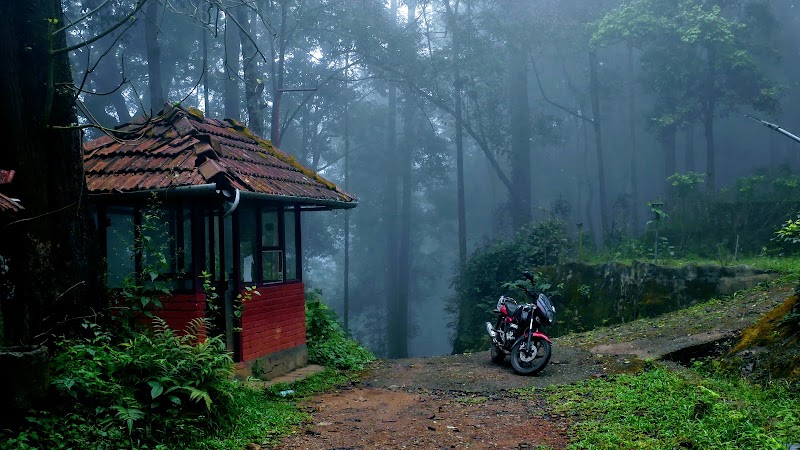 Wayanad - Wayanad Wayanad, Kerala, India