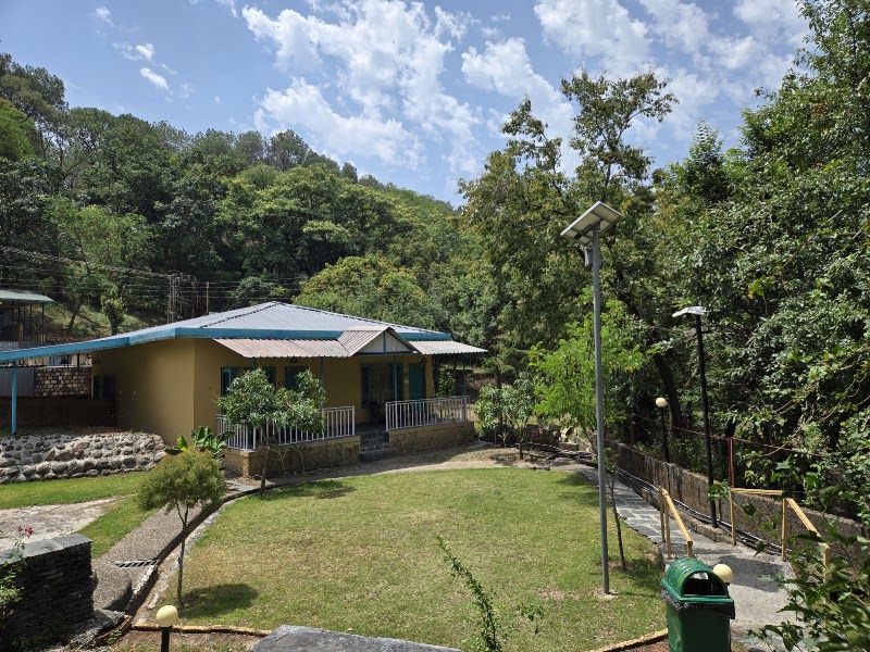 Tree Of Life Birdsong Chalets, Dharamshala - Tree Of Life Birdsong Chalets, Dharamshala, 573W+G6V, VPO, Bagli, Dharamshala, Himachal Pradesh 176209, India