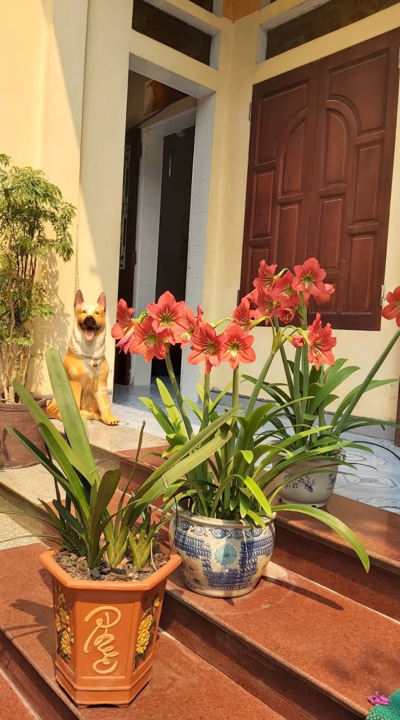 Tam Coc Family Hotel - Tam Coc Family Hotel, Đội 3 Văn Lâm, Xóm Hòa Bình 2, Nam Hoa Lư, Ninh Bình 43000, Vietnam