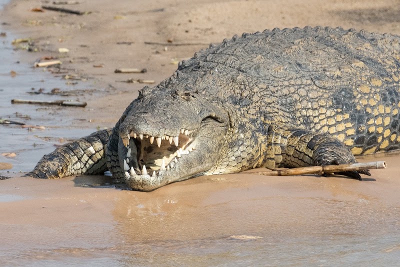 Bwabwata-National Park - Bwabwata-National Park, DIvundu, Namibia
