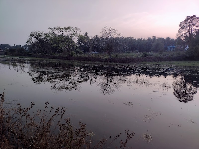 Ilha de Rachol - Ilha de Rachol, Rachol, Shelvan, Goa 403719, India