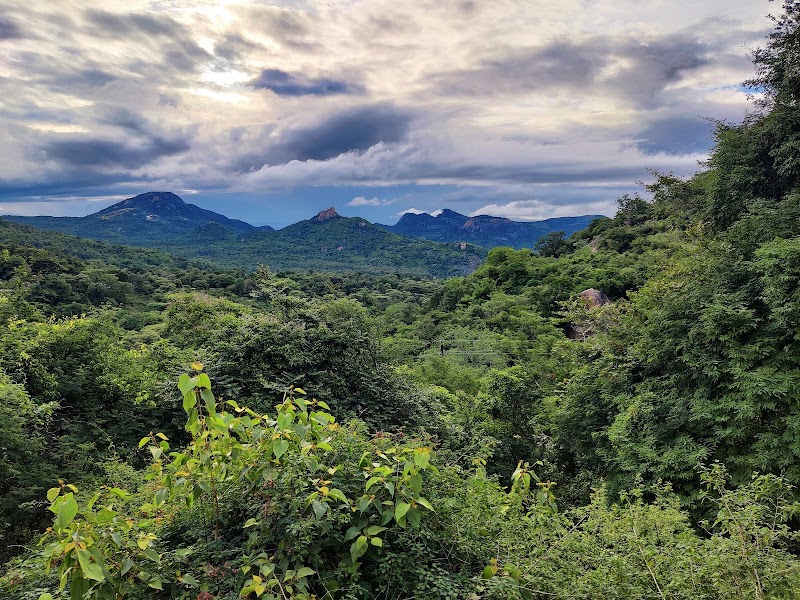 Devarayanadurga Road Viewpoint