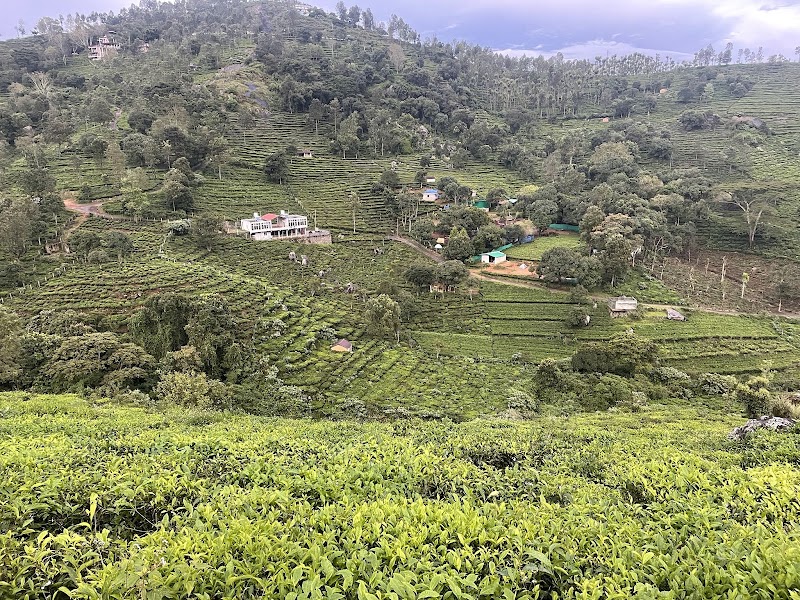 GO KOTAGIRI TOURISM - GO KOTAGIRI TOURISM 5/8 A2, GoKotagiri Lounge, Pandian Park State Highway 15 Nihung Post, Ooty, Highway, Kotagiri, Tamil Nadu 643217, India