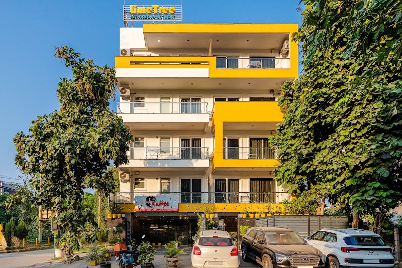 Lime Tree Luxury Studio Serviced Apartments and Restaurant in Gurgaon - Lime Tree Luxury Studio Serviced Apartments and Restaurant in Gurgaon 966P, Near Artemis Hospital, Sector 51 Rd, Sector 51, Gurugram, Haryana 122018, India