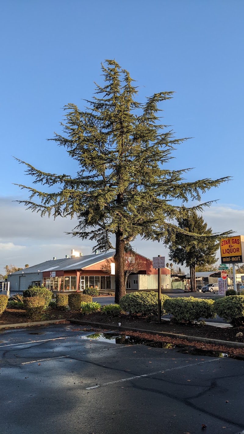 NAPA Auto Parts - NAPA Auto Parts, 1425 N Texas St, Fairfield, CA 94533, USA