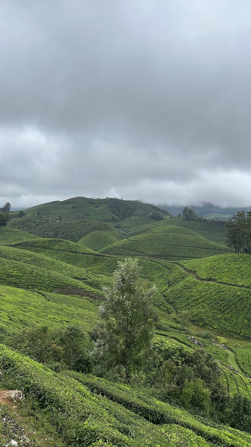 Lockhart Gap View - Lockhart Gap View Lockhart, Gap Road, Munnar, Kerala 685613, India