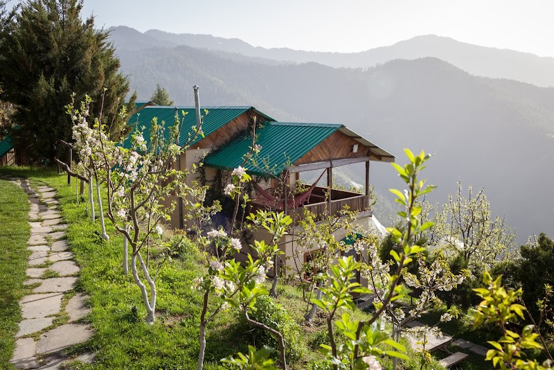 Seetalvan Orchard - Seetalvan Orchard, Kotgarh Narkanda, Shimla, Himachal Pradesh 172031, India