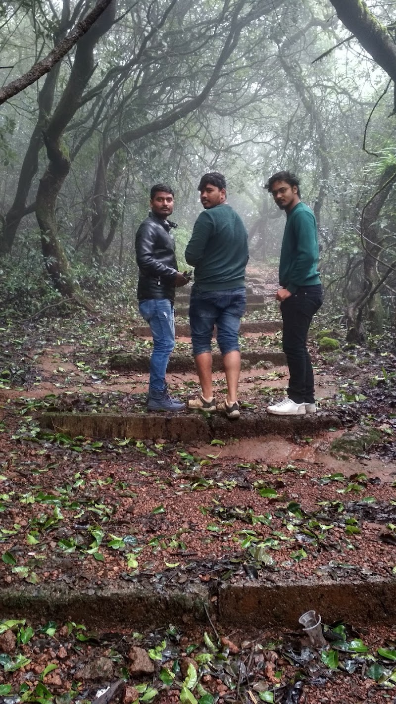 Connaught Peak - Connaught Peak WMXC+5F5, Connaught Peak Rd, Mahabaleshwar, Maharashtra 412806, India