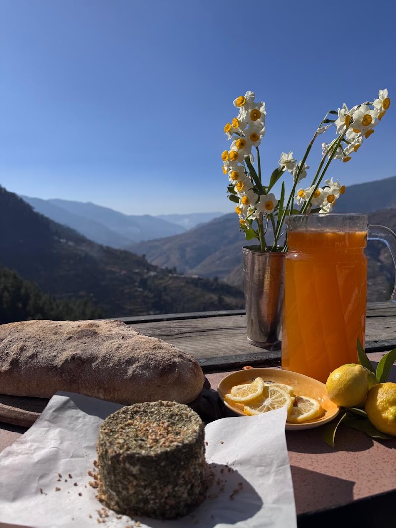 Himalayan Orchard - Himalayan Orchard Reoghati Rd, Rukhla, Himachal Pradesh 171204, India