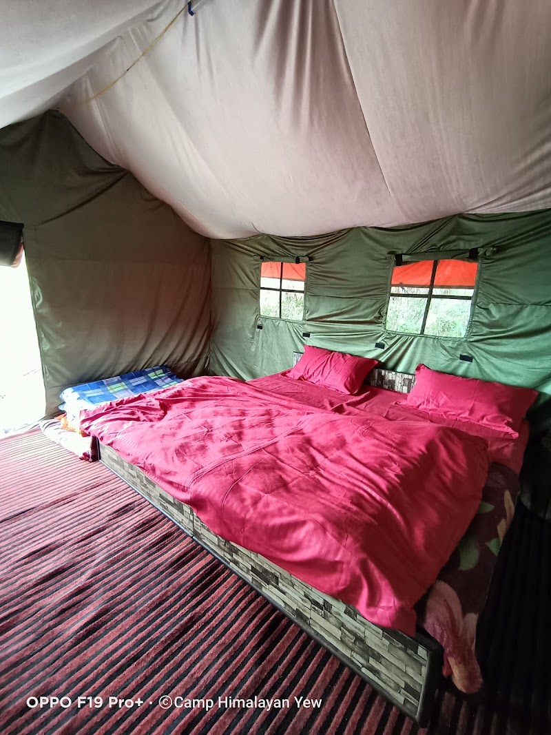 Himalayan Yew Camps And Homestay -- By Raasta stays - Himalayan Yew Camps And Homestay -- By Raasta stays Village Nagrot P.O. Narkanda, Teh, Distt, Kumarsain, Himachal Pradesh 171213, India