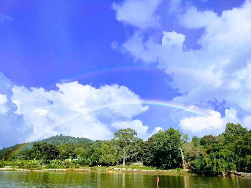 Yelagiri Forest Hill - Yelagiri Forest Hill JM32+3F9, Vallipattu, Tamil Nadu 635853, India