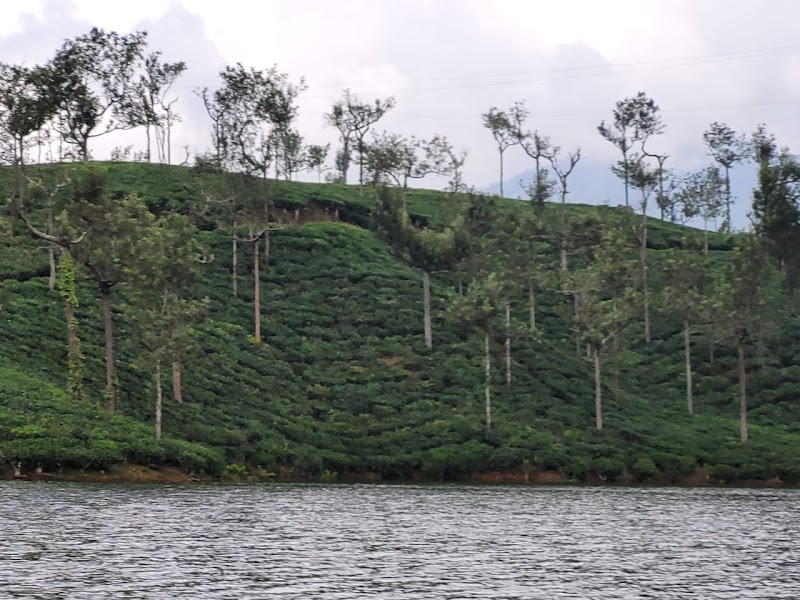 Sunmount View Hotel - Sunmount View Hotel, 2nd Mile, Pallivasal Estate, Munnar, Kerala 685565, India