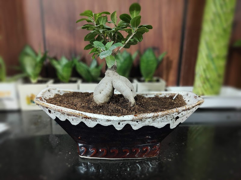 GREEN NEST - GREEN NEST 23, Kailash Park, near Geeta bhawan, Kailash Park Colony, Indore, Madhya Pradesh 452001, India