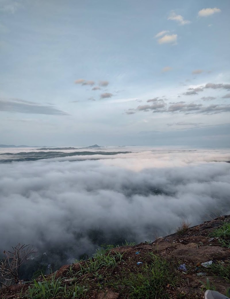 Kottappara Hilltop Viewpoint - Kottappara Hilltop Viewpoint Kallar - Mankulam Rd, Munnar, Adimali, Kerala 685561, India